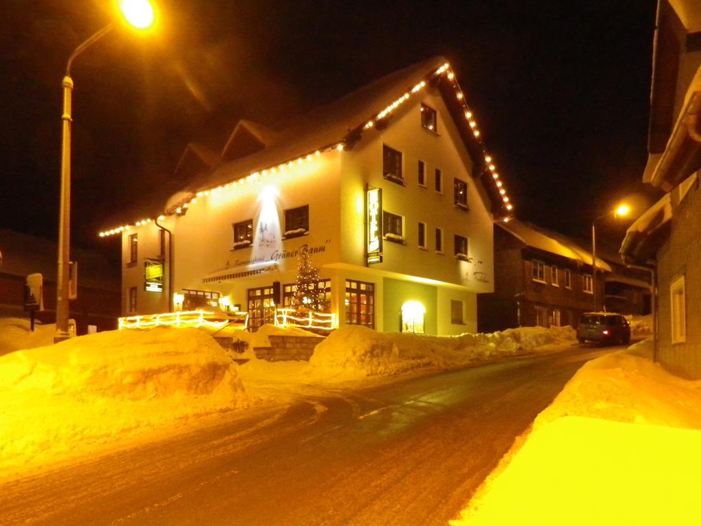 Rennsteighotel Gruener Baum ชมีเดอเฟลด์ อัม เร็นน์ชไตก์ ภายนอก รูปภาพ